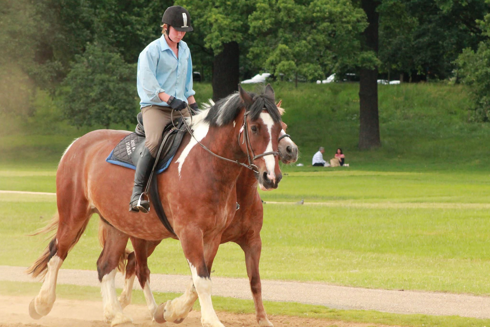 Hydepark London - Shot on Canon 1100D | PictShare.online photography