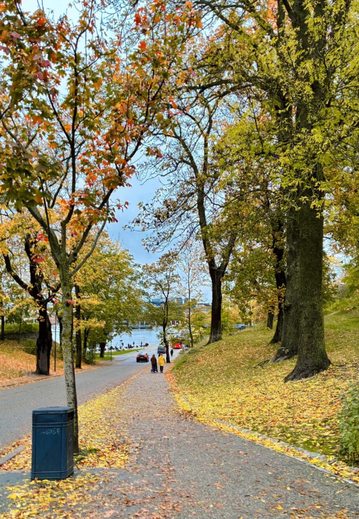🍂✨ Stockholm in autumn… where golden leaves meet Nordic charm, and every street feels like a scene from a dream. 🍁🤎

#AutumnInStockholm #StockholmSweden #SwedishAutumn #FallVibes #Scandinavia #StockholmVibes 🇸🇪 | PictShare.online photography