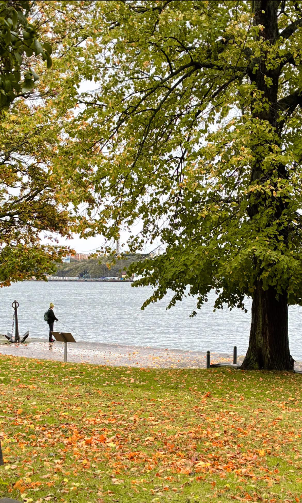 🍂✨ Stockholm in autumn… where golden leaves meet Nordic charm, and every street feels like a scene from a dream. 🍁🤎

#AutumnInStockholm #StockholmSweden #SwedishAutumn #FallVibes #Scandinavia #StockholmVibes 🇸🇪 | PictShare.online photography